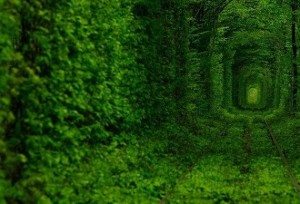 3.-Tunnel-of-Love-Ukraine