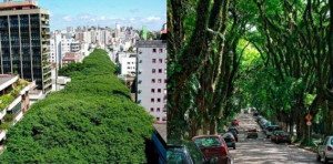 9.-Rua-Goncalo-de-Carvalho-Brazil