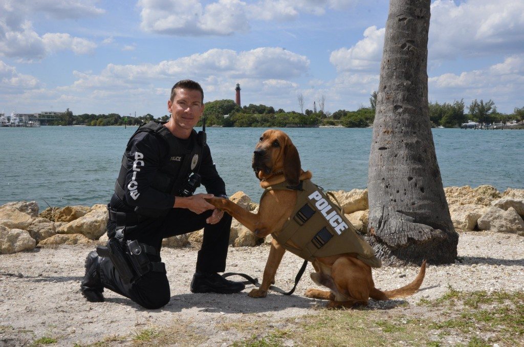 basset-hound-and-his-police-officer