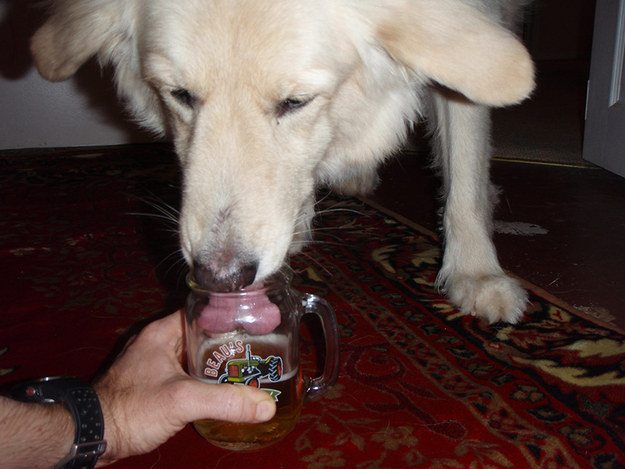 enhanced-9125-1424902818-10