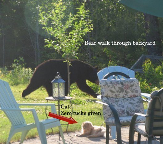 6-27-13-wtf-hilarious-funny-photos1