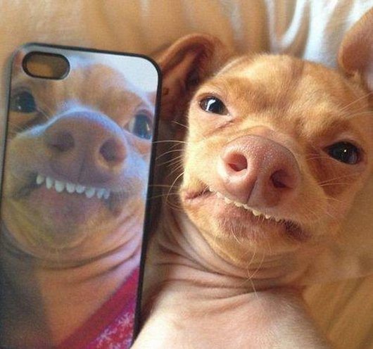 6-27-13-wtf-hilarious-funny-photos14