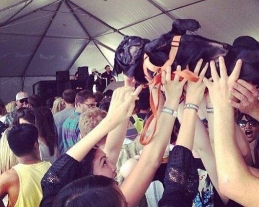 6-27-13-wtf-hilarious-funny-photos18