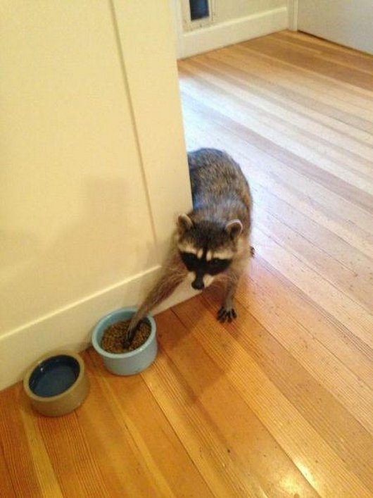 6-27-13-wtf-hilarious-funny-photos3