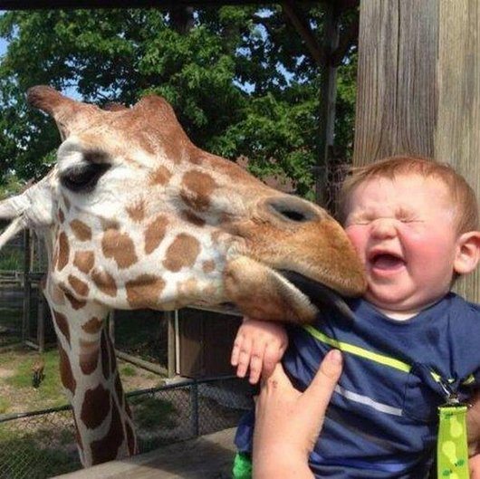 6-27-13-wtf-hilarious-funny-photos4