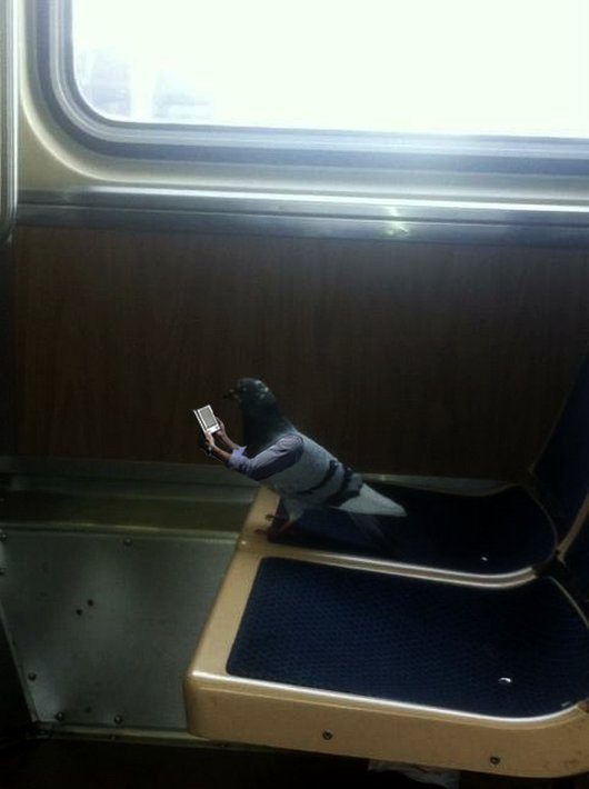 6-27-13-wtf-hilarious-funny-photos7