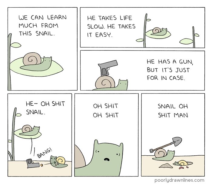 85024416
