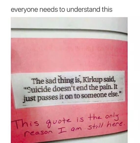 85024423