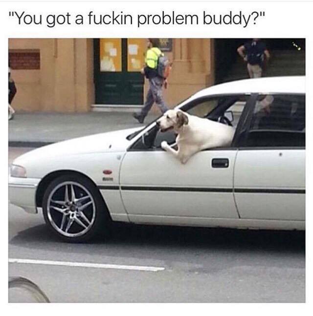 85024428