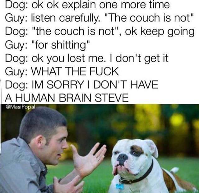 85024432