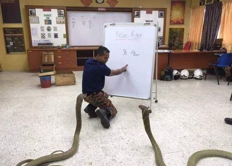 85082565