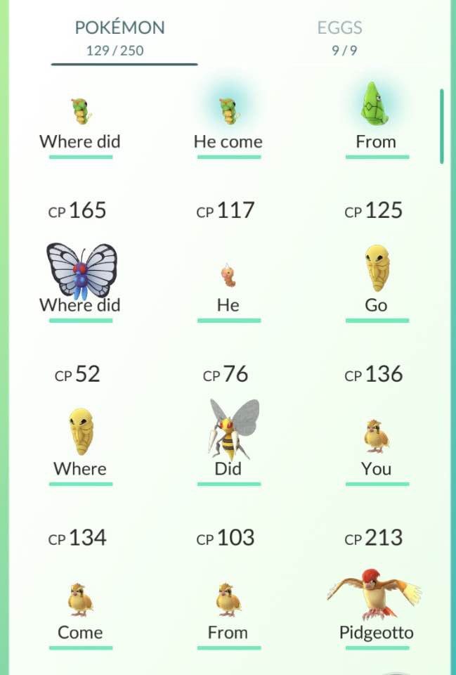 85084233