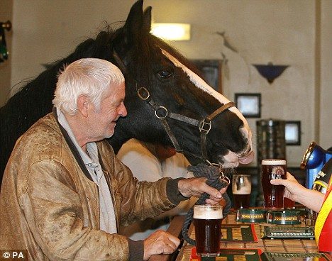 wtf_a_horse_walks_into_a_bar