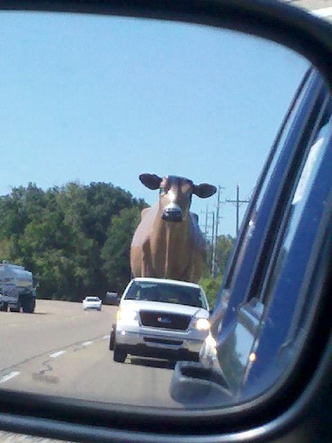 wtf_you_get_to_see_in_the_car_back_mirror