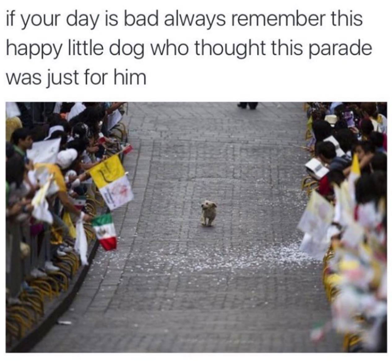 85094557