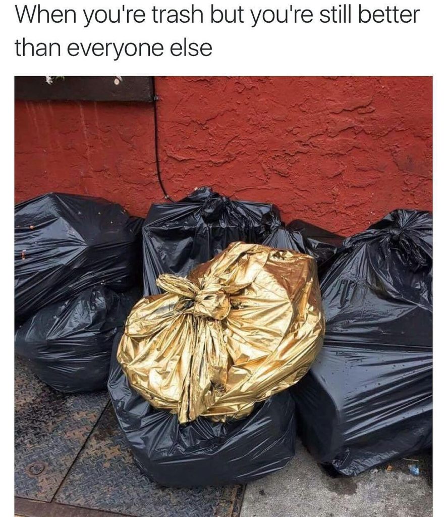 85094576