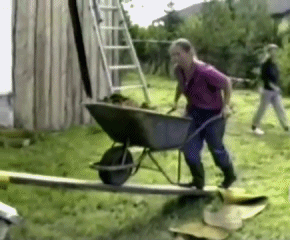 85095155