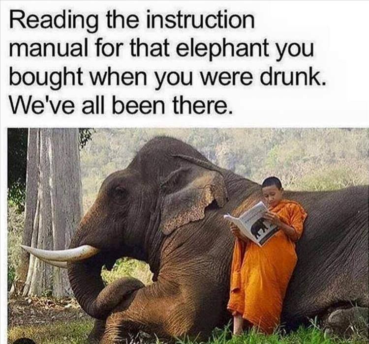 85104921