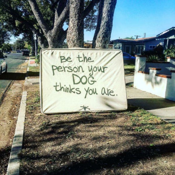 daily-morning-awesomeness-45-photos-248-218