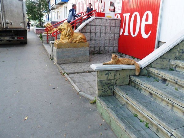 daily-morning-awesomeness-45-photos-248-26