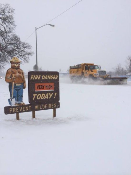 meanwhile-in-4