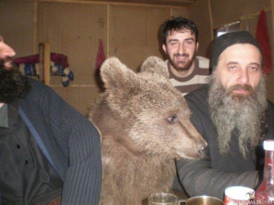 meanwhile-in-9