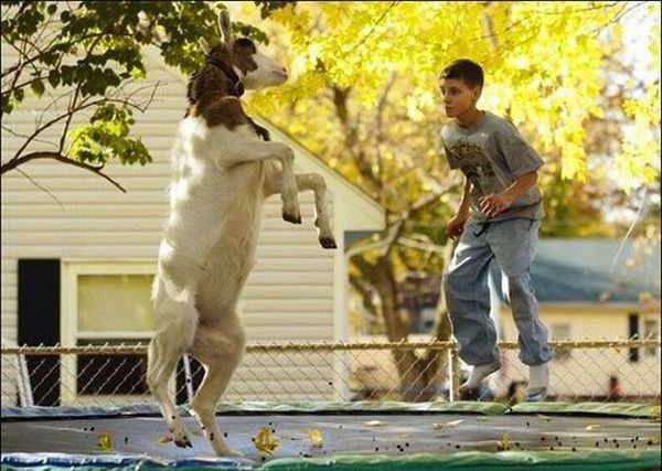 wtf_pictures_10
