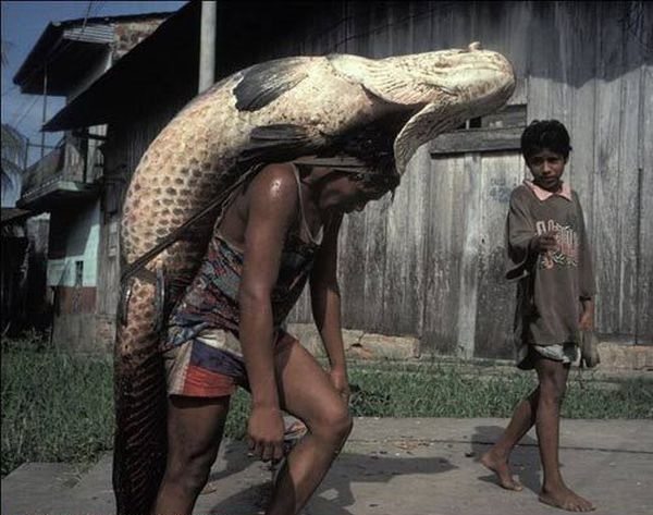 wtf_pictures_13