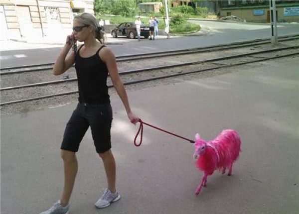 wtf_pictures_compilation_part_7_640_50-s600x450-194140