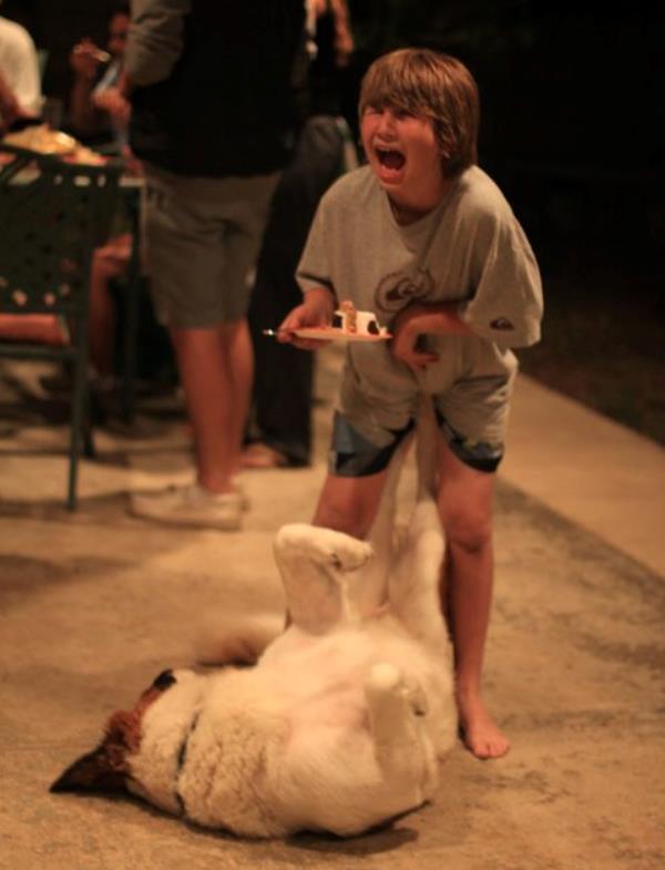 dog-kick