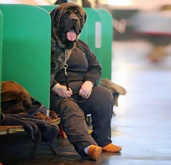 perfectly-timed-photos-41