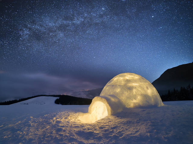 11-awesome-pics-that-will-make-your-day