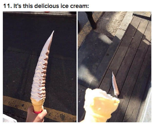 11-hilarious-pics-that-totally-describe-2016