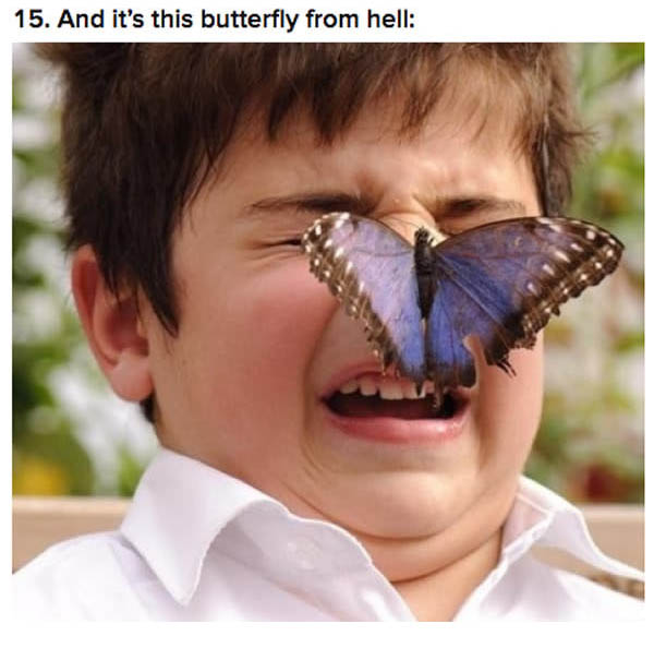15-hilarious-pics-that-totally-describe-2016
