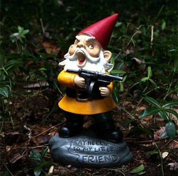 24-awesome-pics-that-will-make-your-day