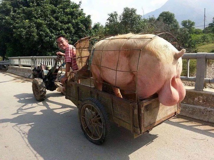 29-awesome-pics-that-will-make-your-day