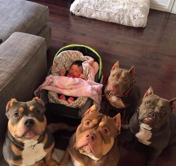 3-awesome-pics-that-will-make-your-day