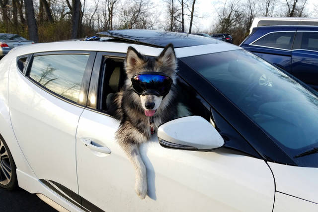 4-awesome-pics-that-will-make-your-day