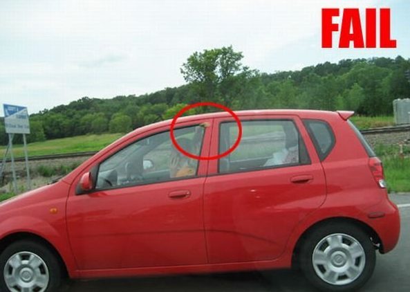 5-beautiful-blondes-and-their-hilarious-fails