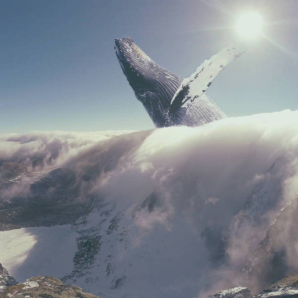 6-awesome-pics-that-will-make-your-day