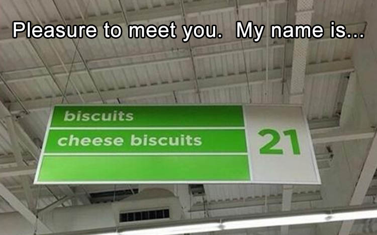14-check-out-todays-dose-of-fun