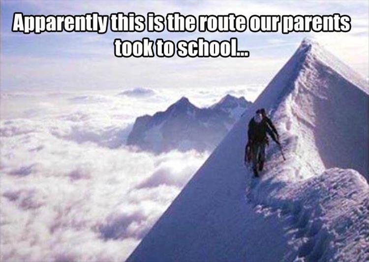 17-check-out-todays-dose-of-fun