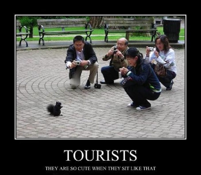 19-hilarious-tourist-photo-fails