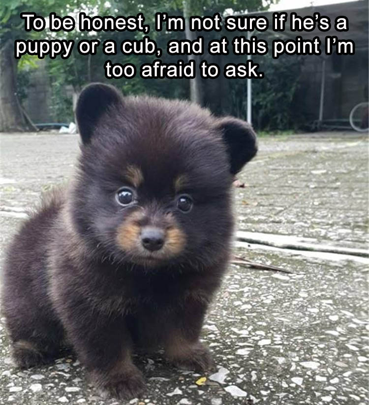 19-check-out-todays-dose-of-fun
