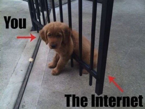 19-we-dare-you-not-to-laugh-at-these-moments