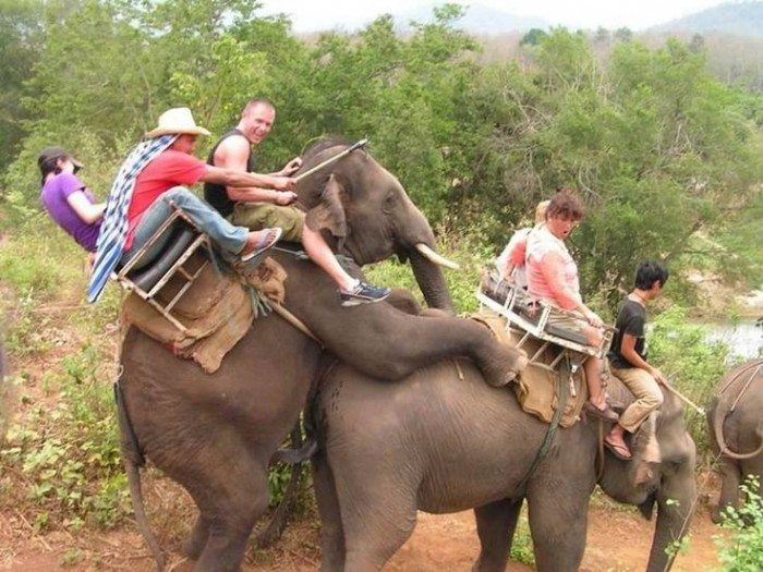 2-hilarious-tourist-photo-fails