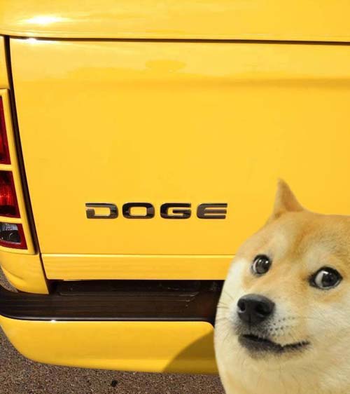 21-we-dare-you-not-to-laugh-at-these-moments