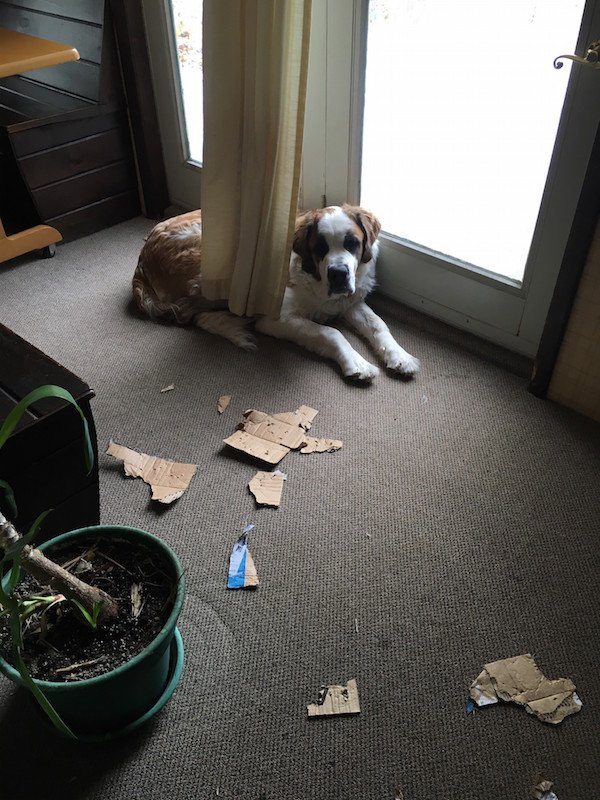 6-we-dare-you-not-to-laugh-at-these-moments