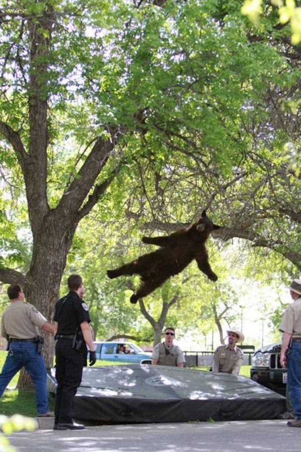 7-we-dare-you-not-to-laugh-at-these-moments