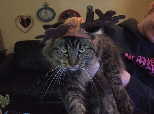 10-simply-awesome-pics-to-help-you-get-through-the-day